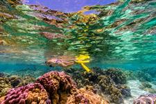 Le Taha'a by Pearl Resorts - Snorkelling - Coral Garden
Le Taha'a by Pearl Resorts